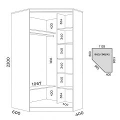 Шкаф-купе ХИТ-У-L-22-64-11 | фото 2
