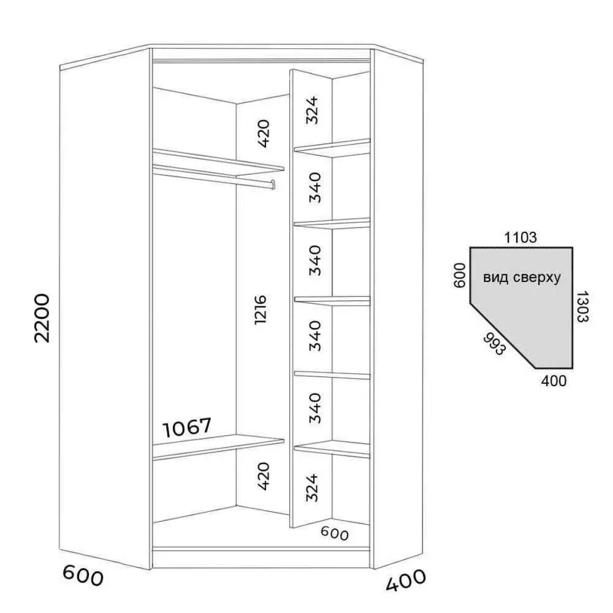 Шкаф-купе ХИТ-У-L-22-64-66 | фото 2