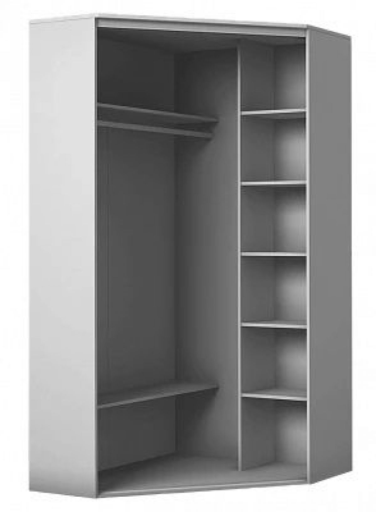 Шкаф-купе ХИТ-У-24-4-66 | фото 3