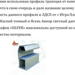 Шкаф-купе 1700 серии SILVER S1+S1+B2+PL2 (2 ящика+1 штанга+1 полка) профиль «Серебро» | фото 4