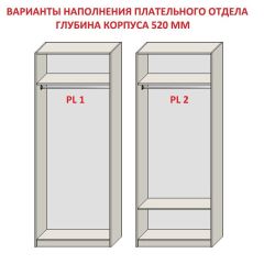 Шкаф распашной серия «ЗЕВС» (PL3/С1/PL2) Серый камень/Небраска натуральный | фото 9