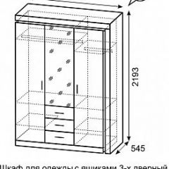 Шкаф для одежды с ящиками 3-х створчатый с зеркалом Люмен 15 | фото 3